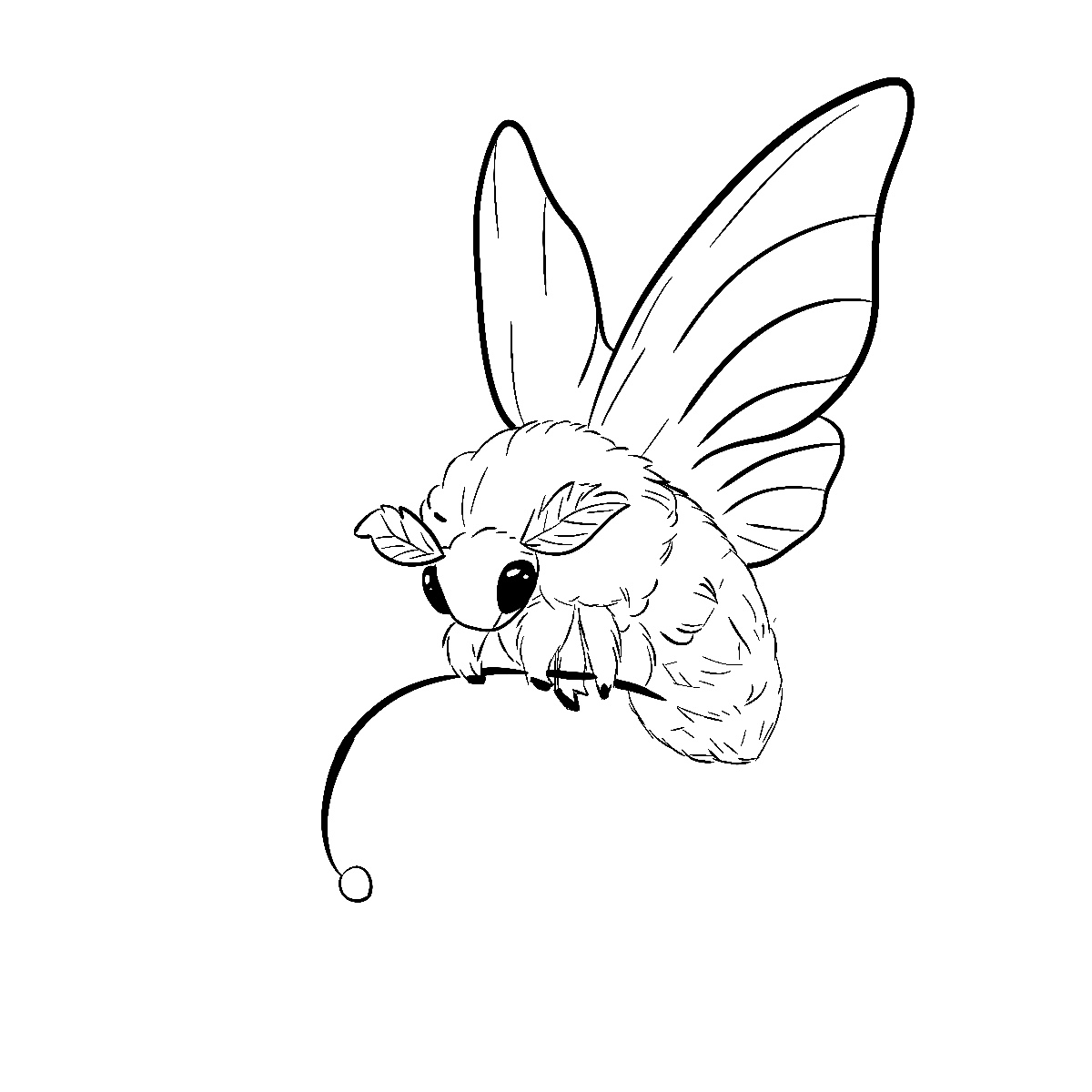 moth on leaf drawing