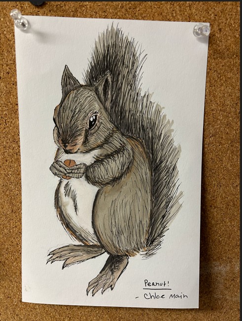 Hand drawn Squirl
