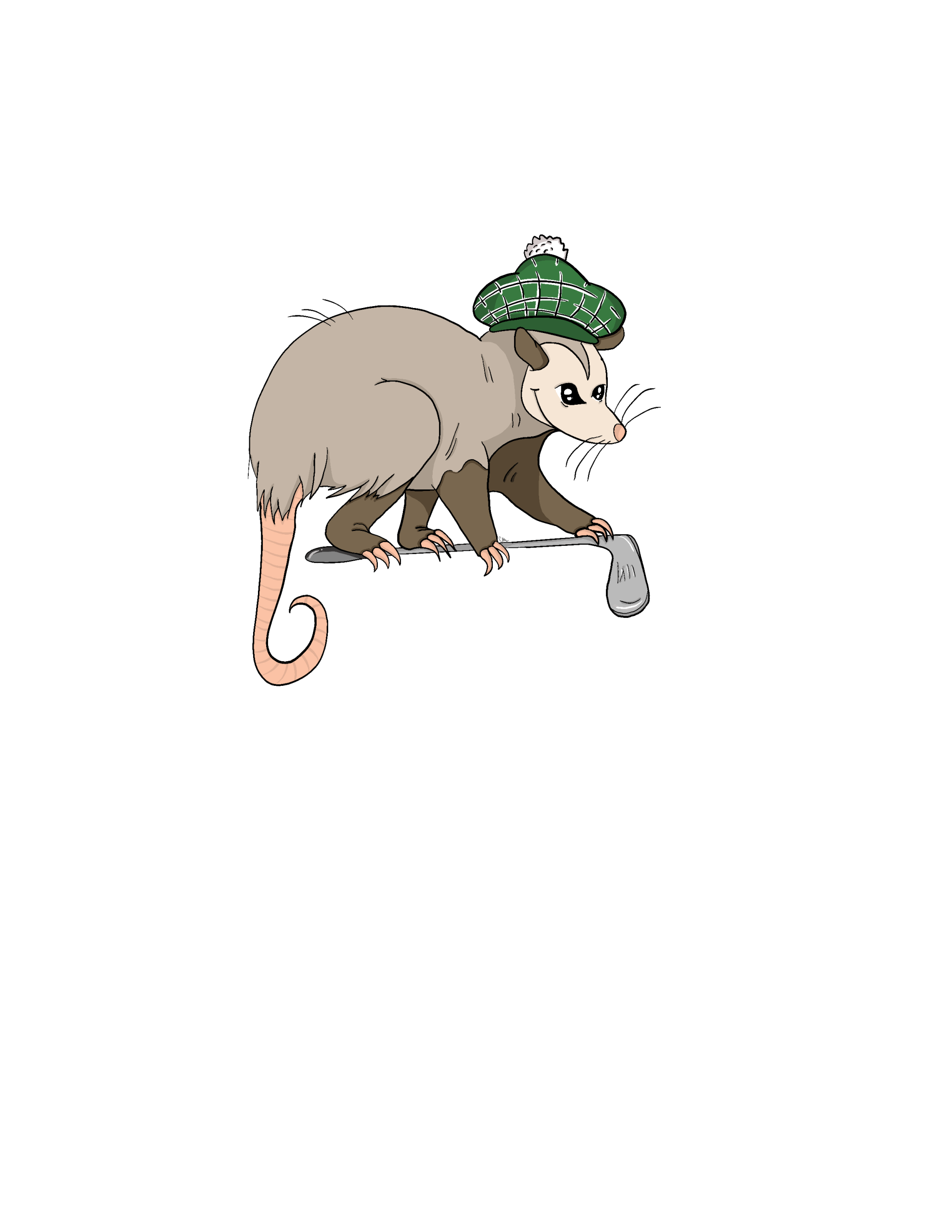 Golfing Possum